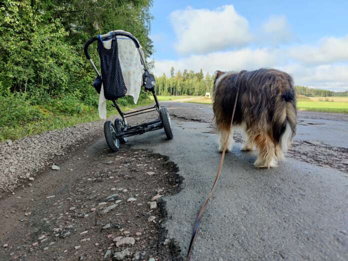 Viime vuoden surkein kylätie löytyi Vihdistä. Löytyykö tämän vuoden tie esimerkiksi Uudestakaupungista?