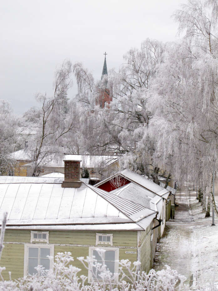 Uudenkaupungin arkkitehtuuripoliittiseen ohjelmaan on koottu yhteen ne arvot jotka tekevät Uudestakaupungista omanlaisensa. Näitä ovat esimerkiksi hyvin säilynyt puutalokeskusta, palokujat ja katupuukoivut.