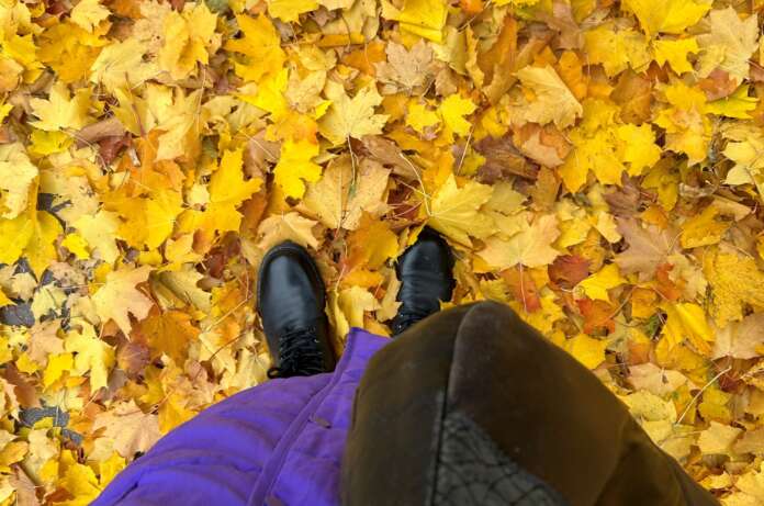 Haravointijätteen voi viedä maksutta lajitteluasemalle, mutta oksat tulee olla omassa satsissaan, eikä omenoita tai etanoita saisi viedä huomaamatta mukanaan.